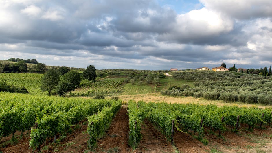 =Vinitaly 2026: Meloni a Verona ribadisce il valore strategico del Made in Italy