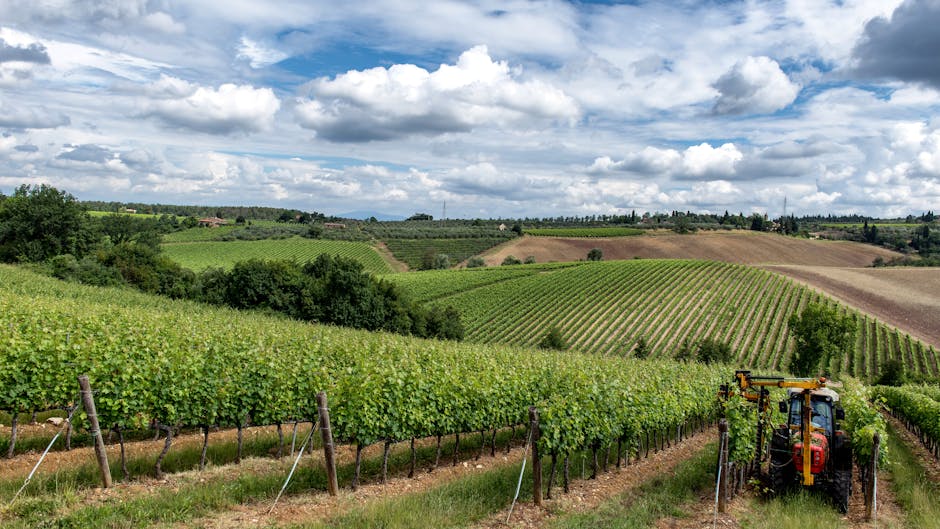 =Vinitaly 2026, Meloni a Verona: l’Italia tutela il settore vinicolo come risorsa strategica