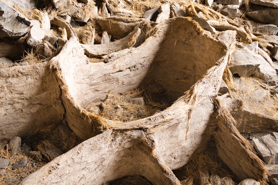 Esploriamo Cavernago: tradizioni, natura e storia nel cuore della Bergamasca