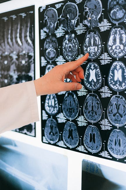Medici e Medicina: il più grande progetto di ricerca sul cervello in Italia